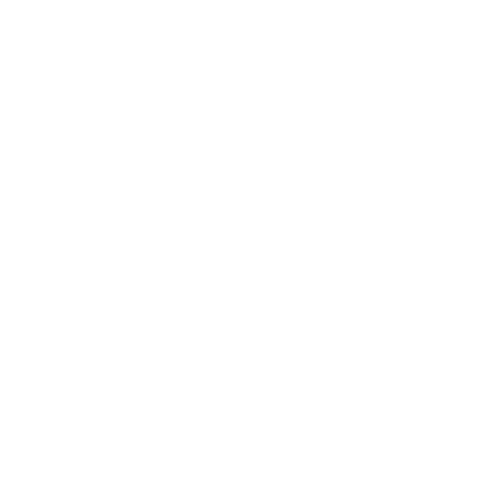 Colaborador 11